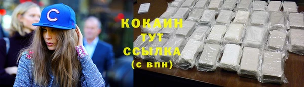 спиды Бородино