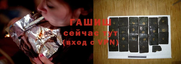 спиды Бородино