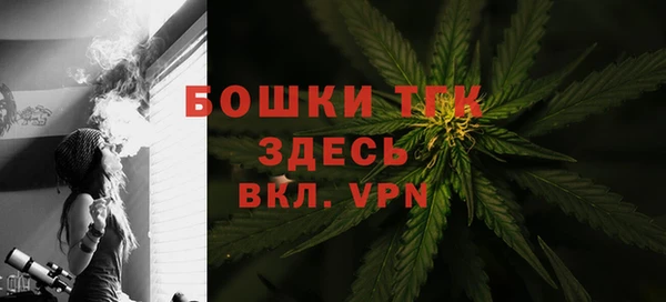 хмурый Бронницы