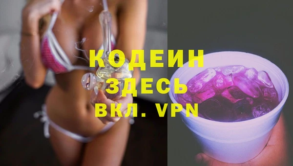 спиды Бородино