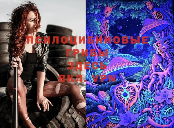 хмурый Бронницы