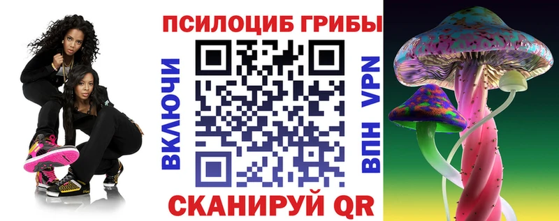 Купить  Иланский  Галлюциногенные грибы GOLDEN TEACHER 